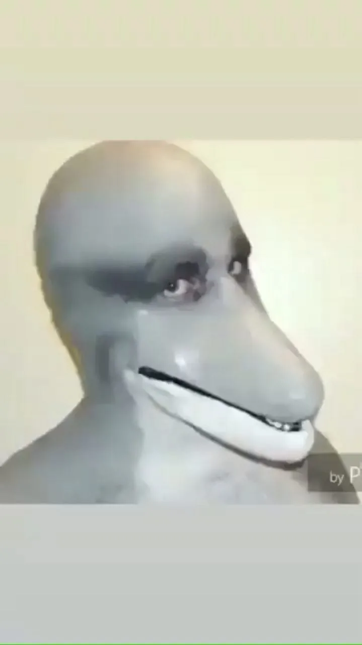 KOMETA